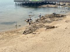 -北戴河碧螺塔海上酒吧公园