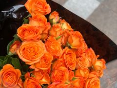 -循礼门鲜花花市(武汉循礼门店)