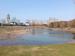 -苏州湾体育公园