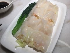 -南枝记