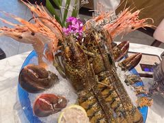 -半岛听涛蒸汽海鲜自助(K11店)