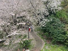 -苏州上方山国家森林公园