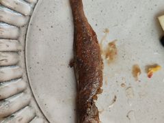 五道黑小鱼-龟兹KUCINA·新疆菜(前滩L+PLAZA店)