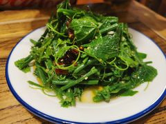 炝拌龙须菜-海富荣·锅贴·陕菜家常菜(阳光城店)