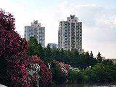 -苏州河梦清园环保主题公园