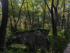-黑龙江省森林植物园