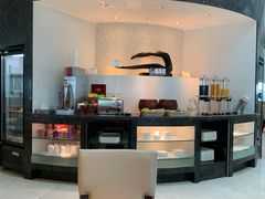 -虹桥机场国航贵宾室v8