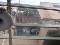 -燕庭·纯燕窝·甜品下午茶(南京西路店)