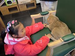 -猫小院猫主题餐厅(南锣旗舰店)