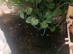 -德全心悦酒店(北京金台路地铁站店)