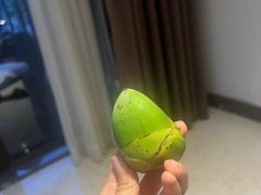 -胡仕光陵水酸粉