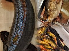 -江湖水乡铁锅炖魚(周庄嘉园店)