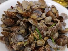 辣炒蛤蜊-海岛渔村大酒店(云霄路店)