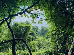 -吴山景区