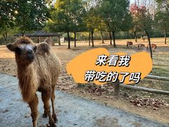 -杭州野生动物世界