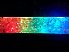 -上海环球金融中心云端足球盛典