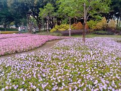 -文华公园(禅城区)