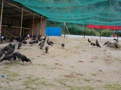 -韶关经律论国际酒店温泉