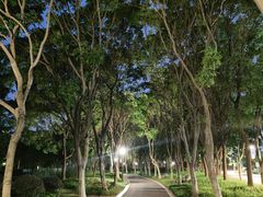 -尚贤河湿地