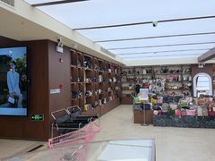 -DS顶奢二手奢侈品包包首饰回收寄卖