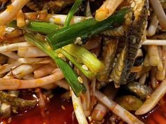 -成都芙蓉饭店·蓉国食府·川菜·谢师宴.升学宴
