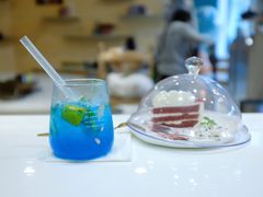 蓝柑莫吉托-飞行喵MR PILOT|猫舍·猫咖(静安大融城店)