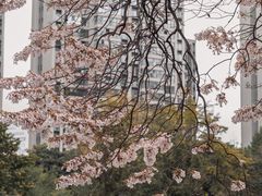 -红星桥(地铁站)