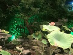 -观宴·品质赣菜(高新大道店)