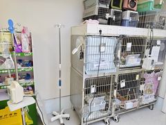 -达爱动物医院·犬猫分区·CT·复杂眼科(远洋山水分院)