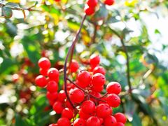 景点-西安汉城湖景区