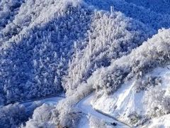 -光雾山旅游景区
