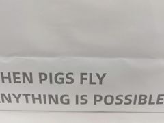 -WHEN PIGS FLY当猪飞