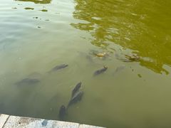 -酷鱼垂钓CLUB(朝阳区博大路店 )