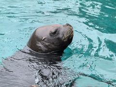 -大连老虎滩海洋公园