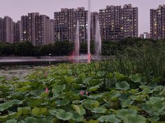 -南翔镇银翔湖公园