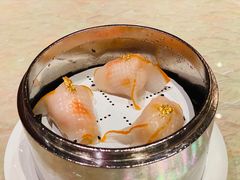 蓝天使虾金鱼饺-8餐厅(新葡京酒店)
