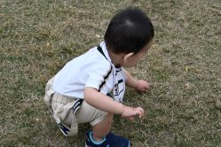 -前小桔亲子创意农场·草莓采摘·露营烧烤