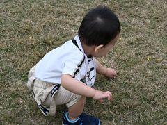-前小桔亲子创意农场·草莓采摘·露营烧烤