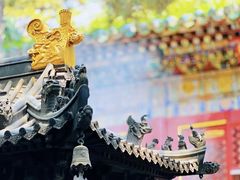 -潭柘寺景区