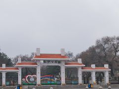-龙沙公园