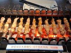 呼伦贝尔羊肉串半达-很久以前羊肉串(昌里路三钢里店)