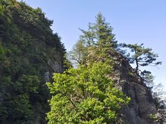 -秦岭天竺山景区