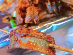 鳝鱼-晓靖轩烧烤(沙河风情店)