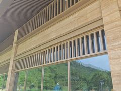 -千年银杏谷文化旅游区