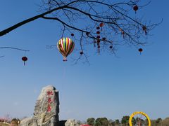 -墨潭桃花岛风景区