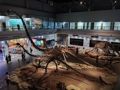 -自贡恐龙博物馆