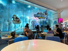 -帝企鹅自助餐厅•儿童岛•真企鹅(长隆企鹅酒店)