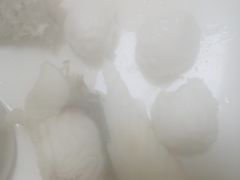 -源港渔村-中山脆肉鲩(博罗店)