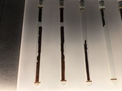 -银雀山汉墓竹简博物馆