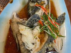 -友强·23年特色海鲜大排档(厦门店)